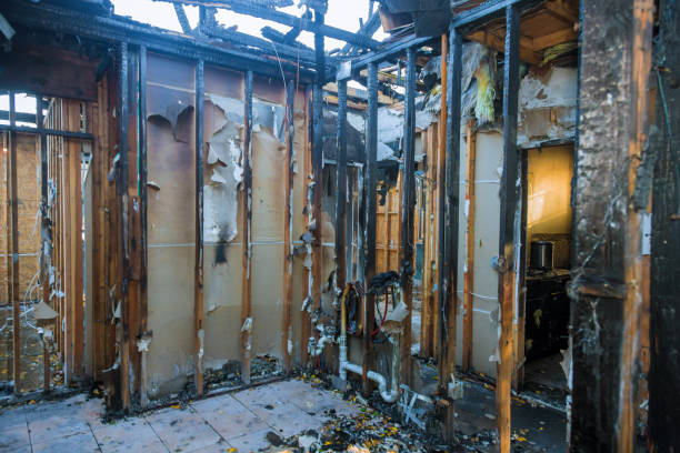 Professional Structural Rebuild technician working in Cookstown, NJ